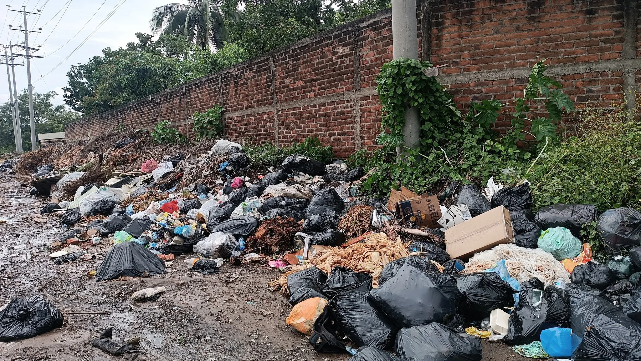 Fuertes sanciones a Municipios que tiren basura en lugares no permitidos: SEGOB