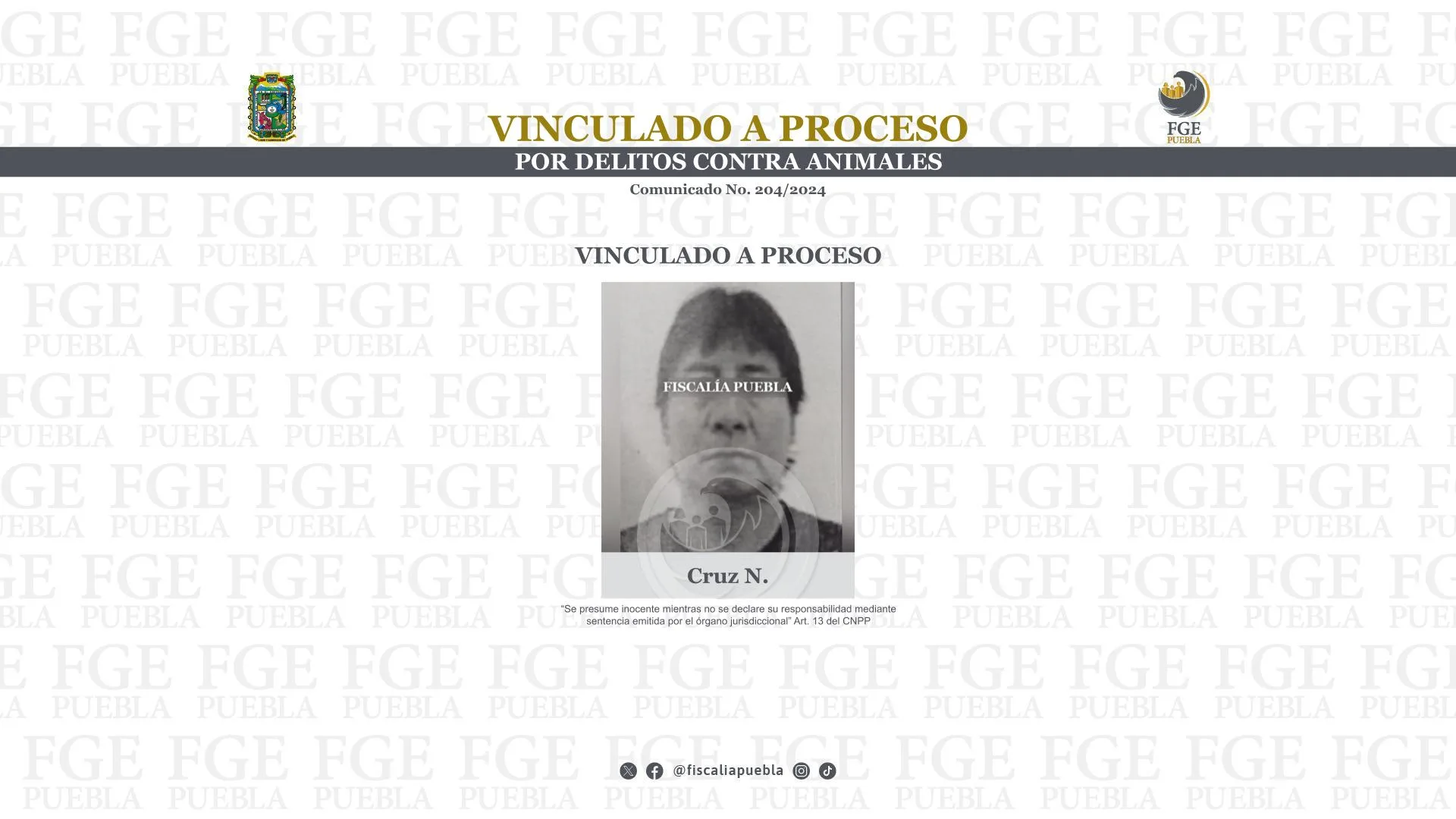 Vinculado a proceso por delitos contra animales