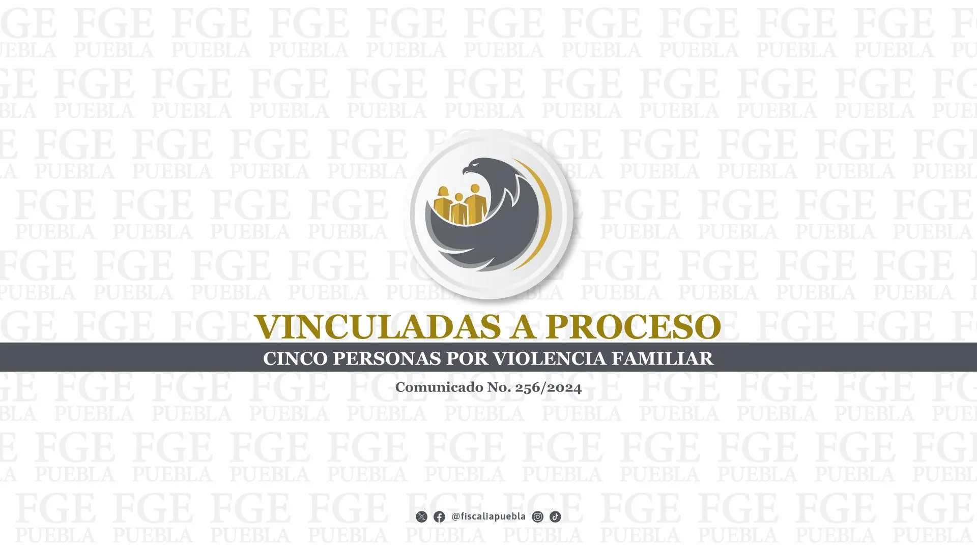 Vinculadas a proceso cinco personas por violencia familiar