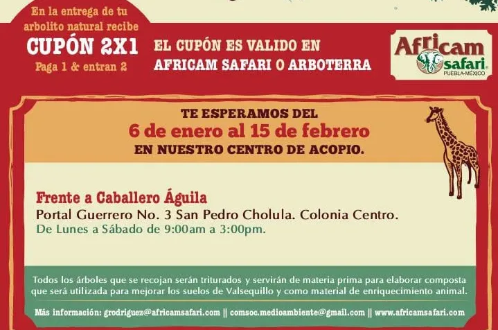 Invita Gobierno de Cholula a participar en la iniciativa «Verde Navidad»