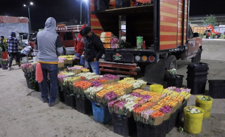 Mercado de Flores de Villa Frontera se prepara para el 14 de febrero