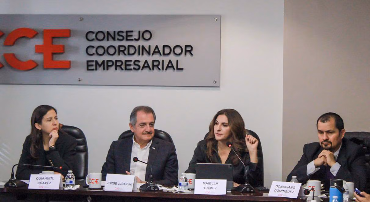 Maiella Gómez ratifica ante el CCE Nacional compromiso con el diálogo y la inclusión en la Comisión de Trabajo en San Lázaro