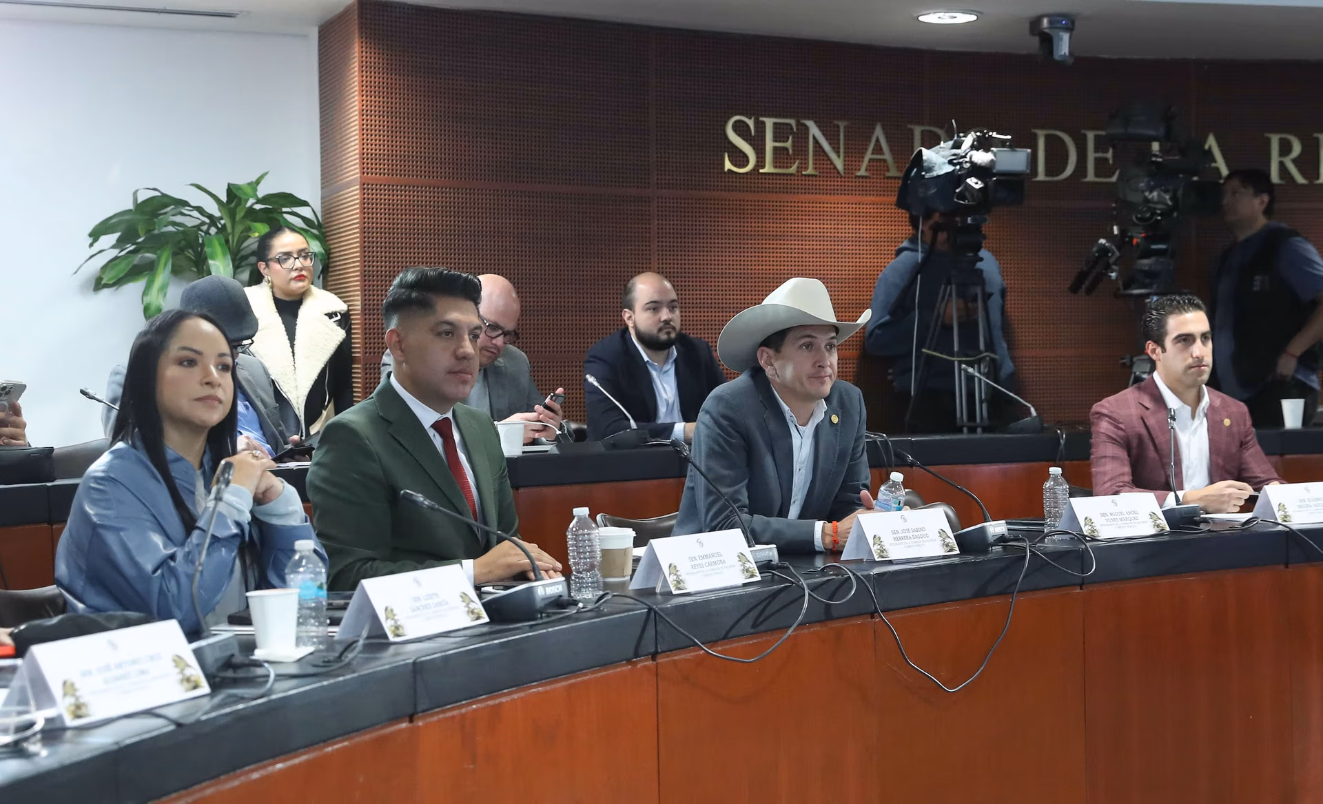 Senadora Liz Sánchez respalda ratificación de Gabriel Cuadra en Banxico