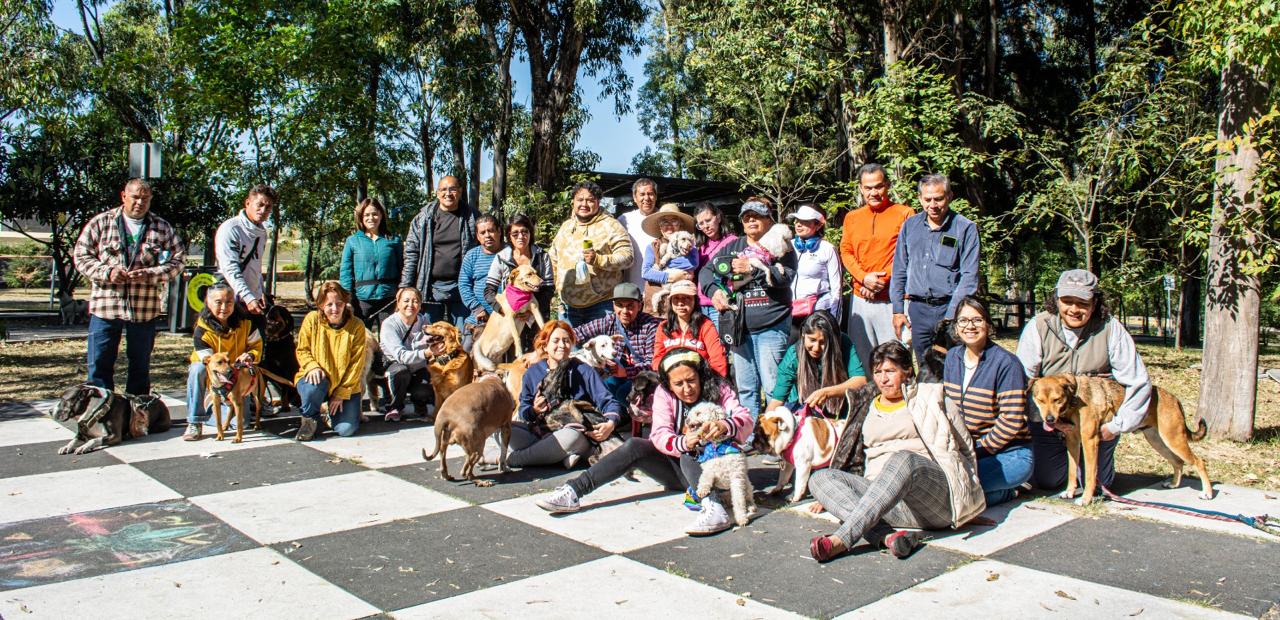 Club Huellitas: Cuatro años rescatando y concientizando sobre el bienestar animal