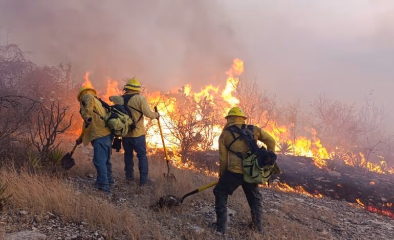 En 80% liquidado, incendio forestal en Tehuacán: continúa labor conjunta de autoridades