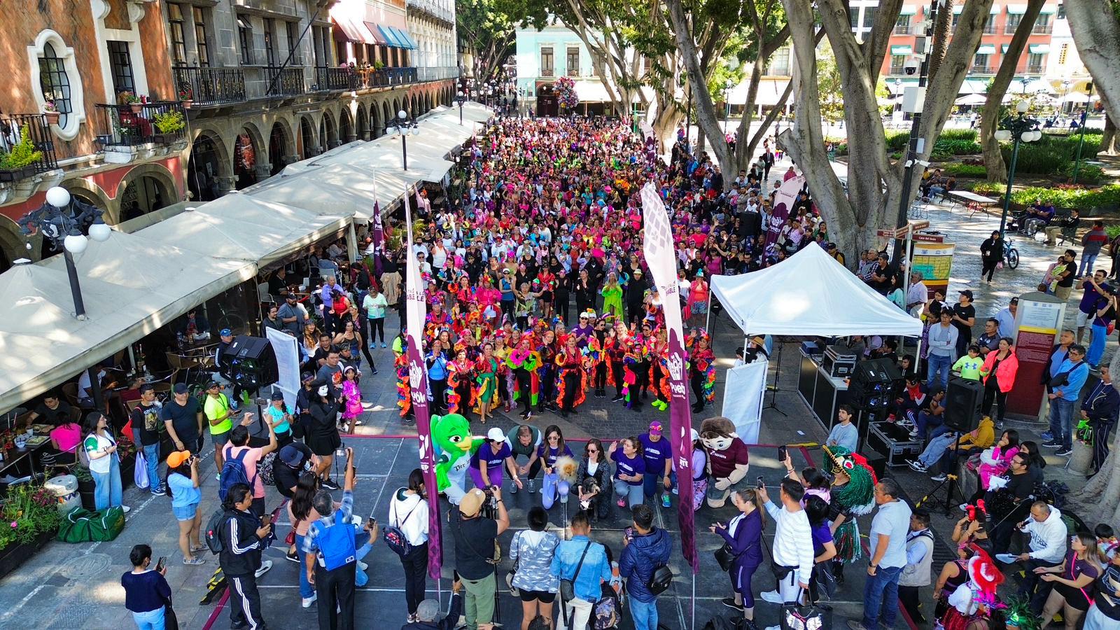 Un éxito rotundo el Festival de Activación Física Musicalizada en el marco del Día de la Mujer