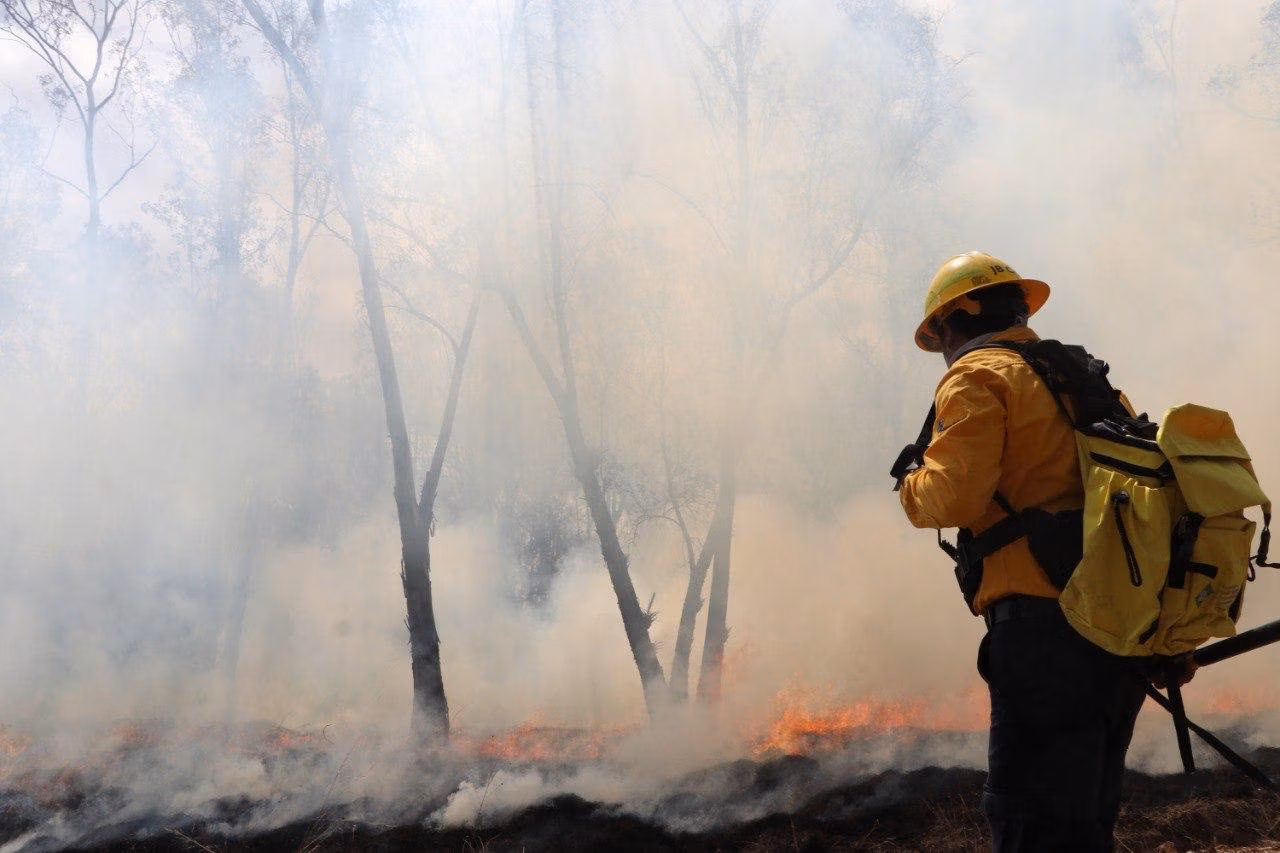 Consolidan acciones contra incendios en Puebla: 222 urbanos y 39 forestales