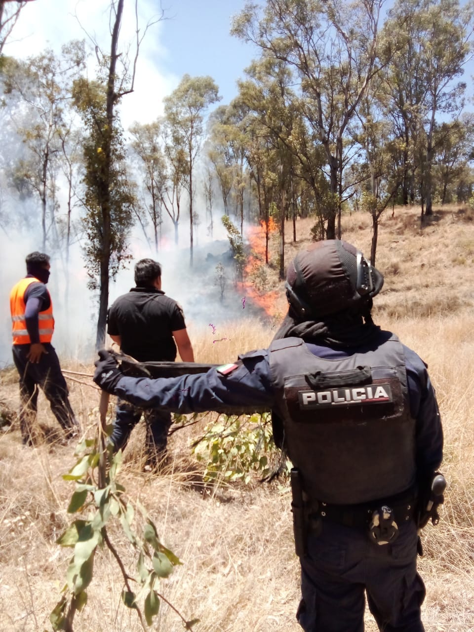 Policía Montada refuerza vigilancia en el Cerro Zapotecas y se suma al combate de incendios
