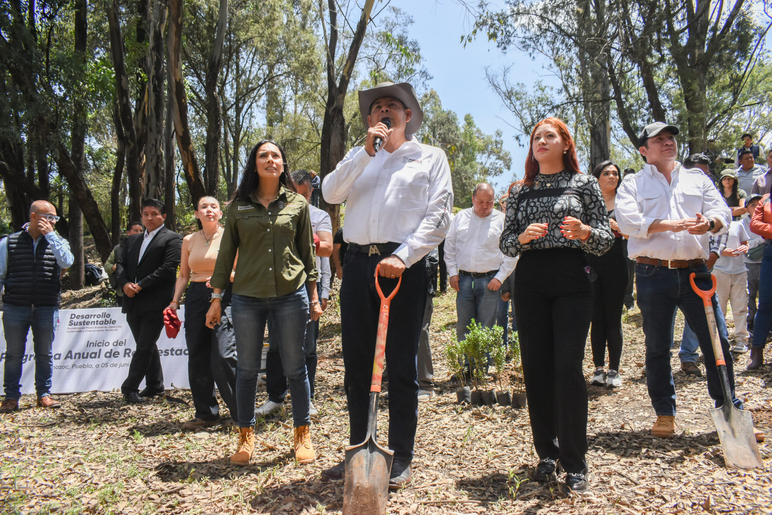 Gobierno de Armenta invertirá 14 mdp en reforestación en Puebla