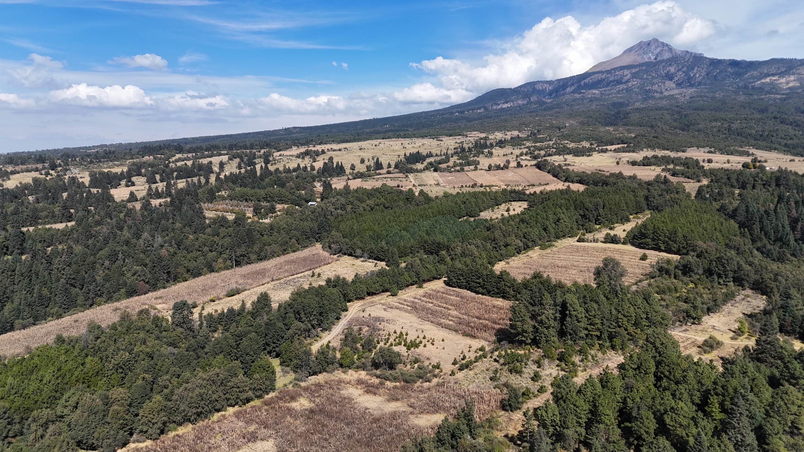 Proyecto del Ecoparque La Malintzi sigue en planeación; no hay obras ni clausura