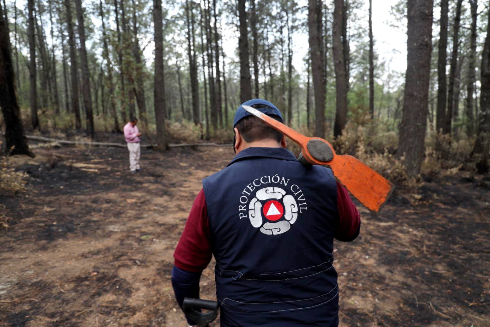 Incendios forestales se reducen 28 % en Puebla: Protección Civil
