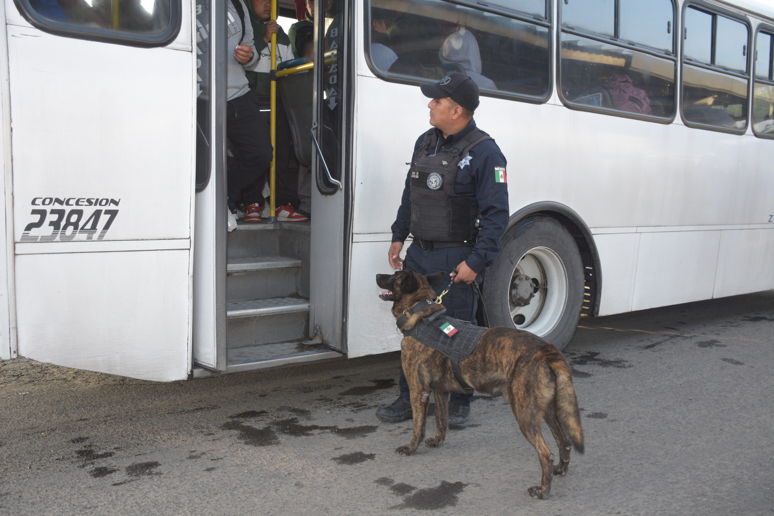 Refuerza Gobierno de la Ciudad seguridad en transporte público con más de 6,500 unidades inspeccionadas