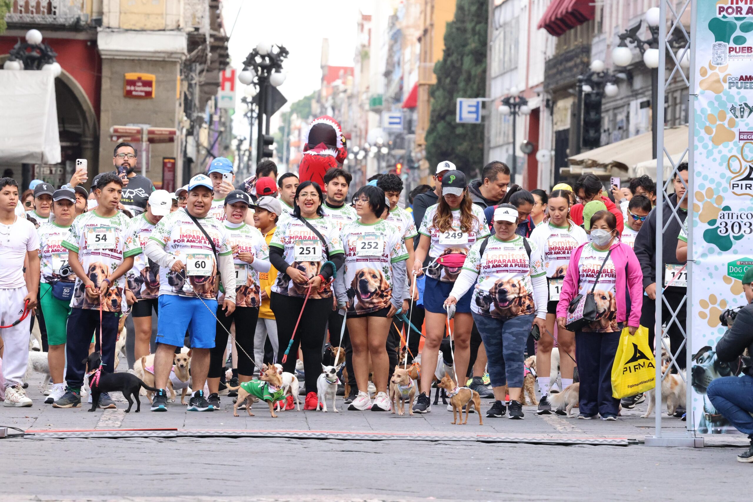 Puebla capital contará con 4 Centros de Bienestar Animal; serán 27 en todo el estado