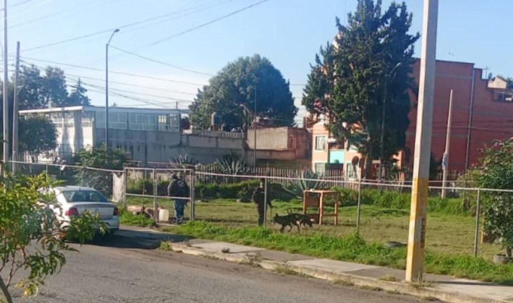 dd245e69-fcbe-4b5a-b48b-1dcfc0806abb - AG Medios Noticias de Puebla