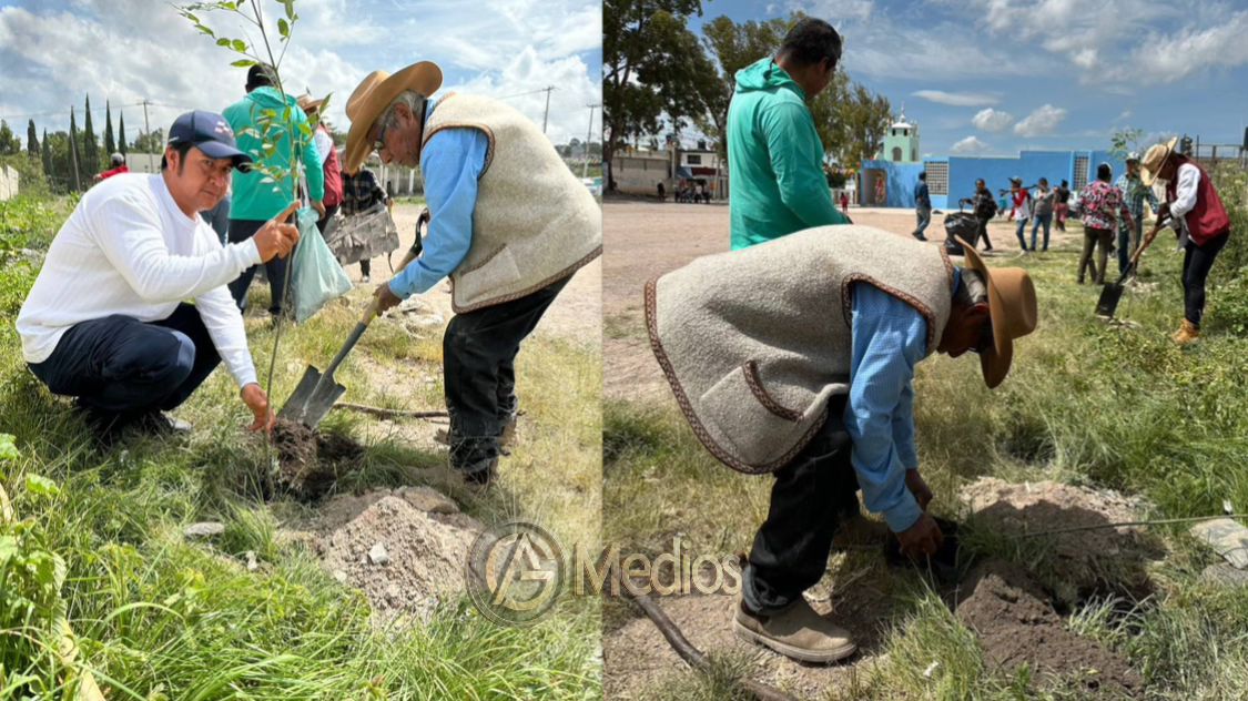 Consolida Gobierno de la Ciudad reforestación con más de 1,200 árboles en la capital a través de Raíces del Futuro