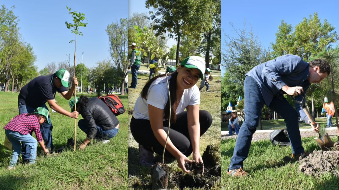 Con la siembra de más de 15 mil árboles, Agua de Puebla culmina con éxito su Programa de Reforestación 2025 “Siembra Vida”