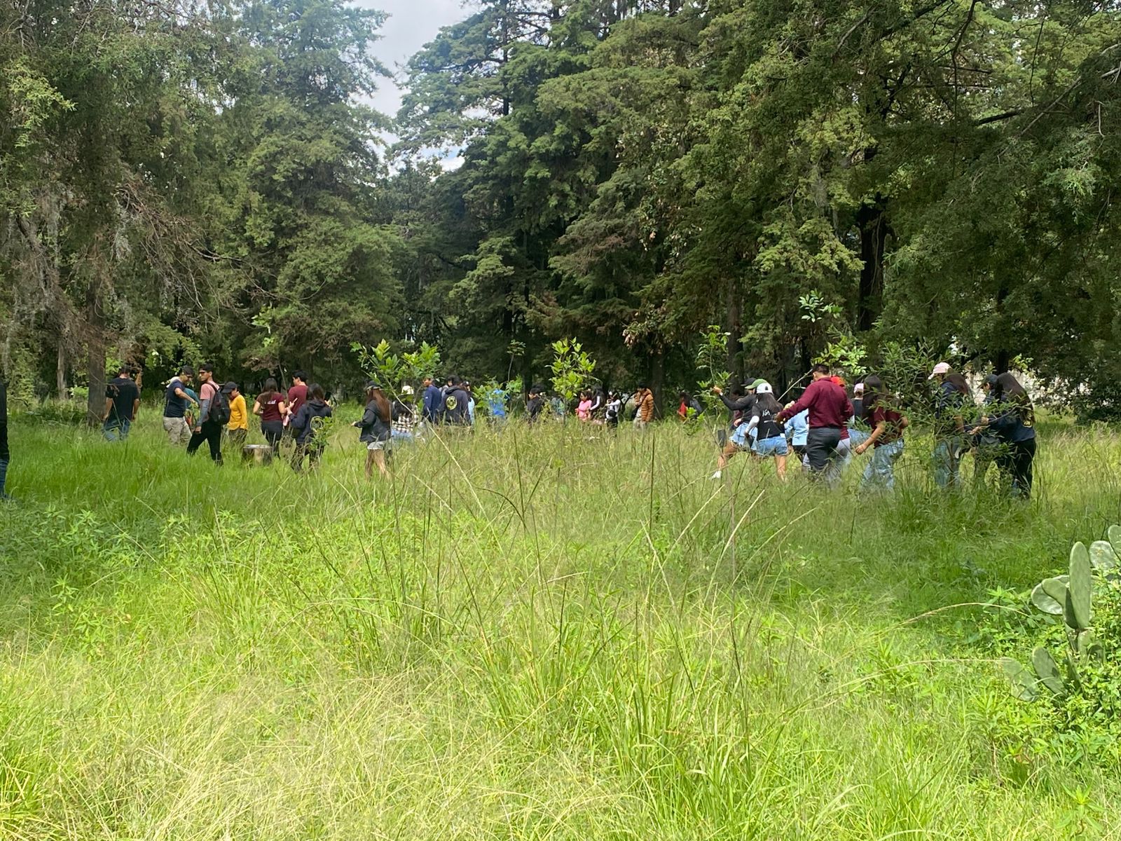 Impulsa Gobierno de Pepe Chedraui jornada de reforestación y arborización