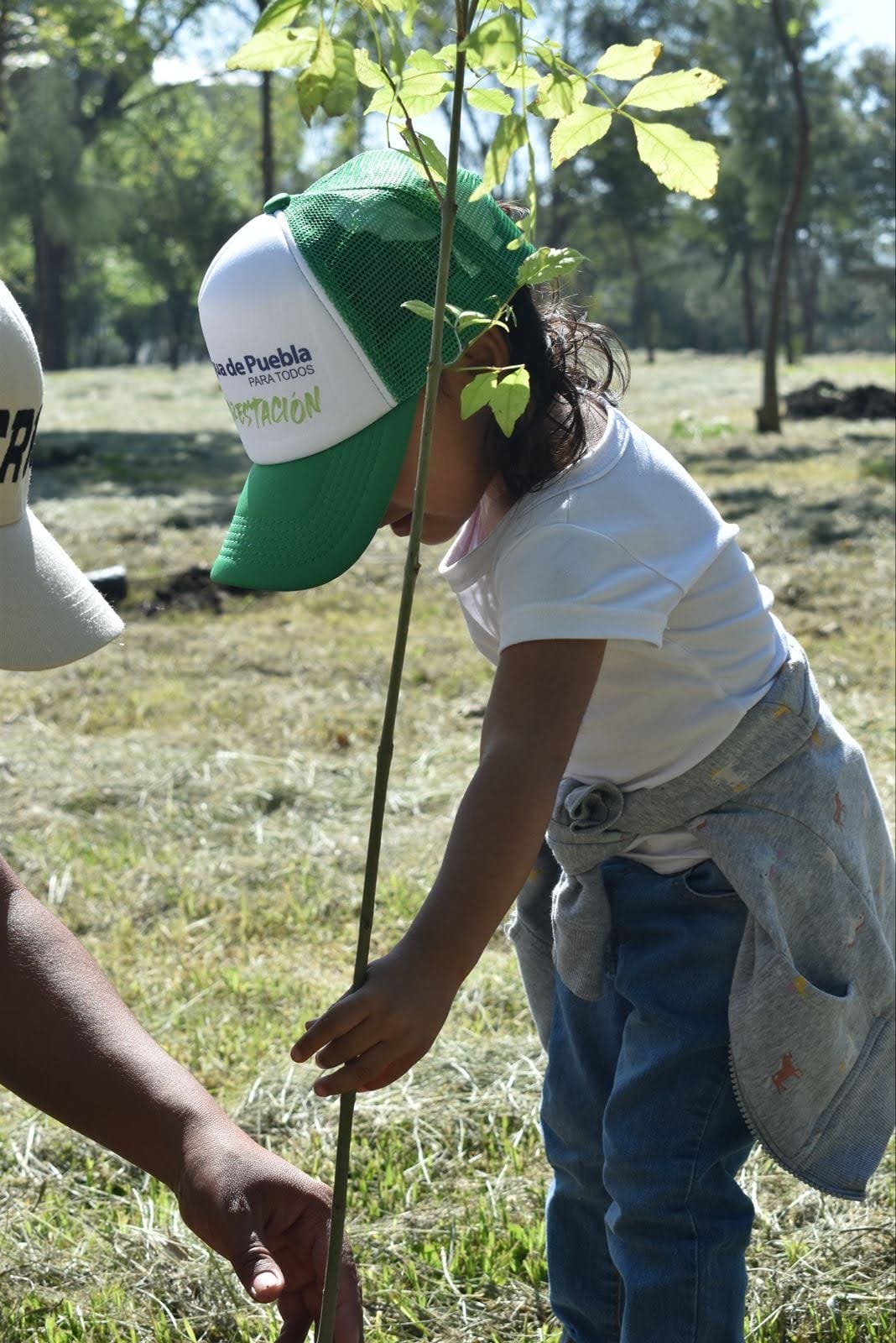 Agua de Puebla culmina con éxito su Programa de Reforestación 2025 “Siembra Vida”