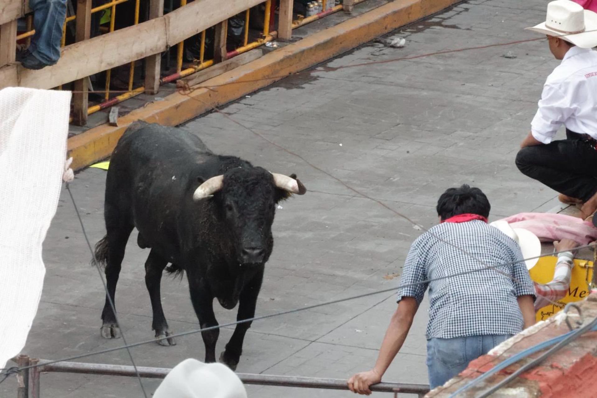 Ocho heridos deja la Huamantlada 2025 en Tlaxcala