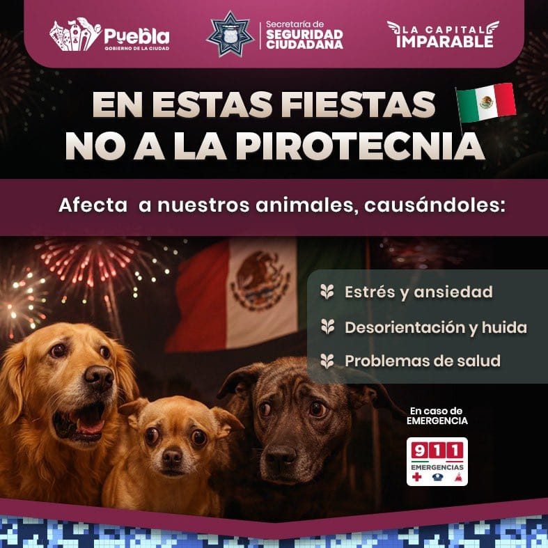 Protección Civil Municipal mantiene operativo especial por Fiestas Patrias