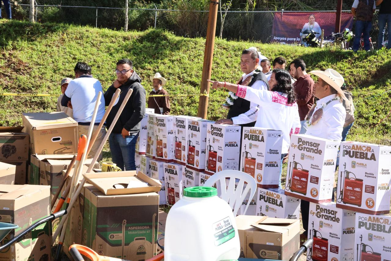 Con apoyos históricos al campo, gobierno estatal impulsa la producción agrícola en Cuautempan