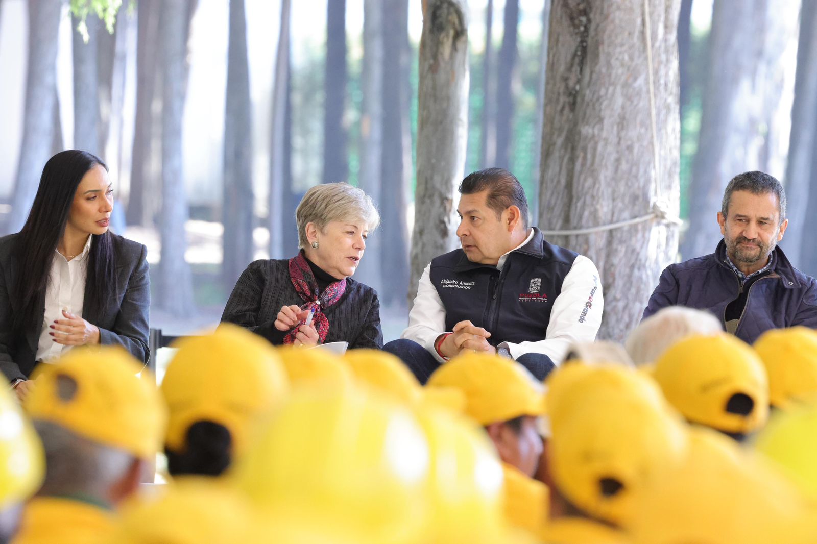 SEMARNAT respalda restauración de La Malinche ante plaga de gusano descortezador