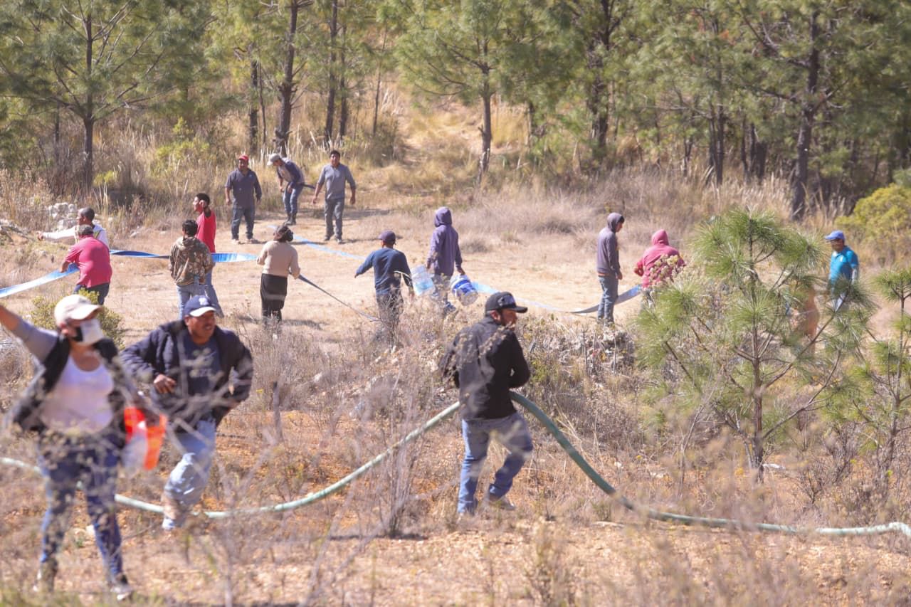 Incendio en Vicente Guerrero, bajo control; 240 hectáreas afectadas y sin lesionados