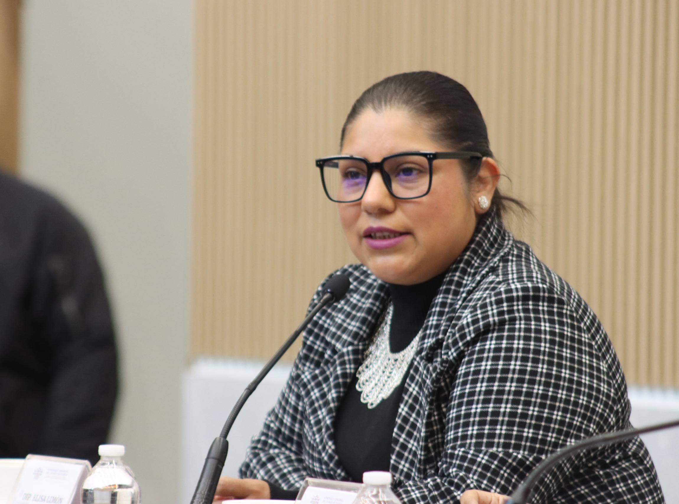 Elisa Limón impulsa reforestación con especies nativas en la Sierra Negra