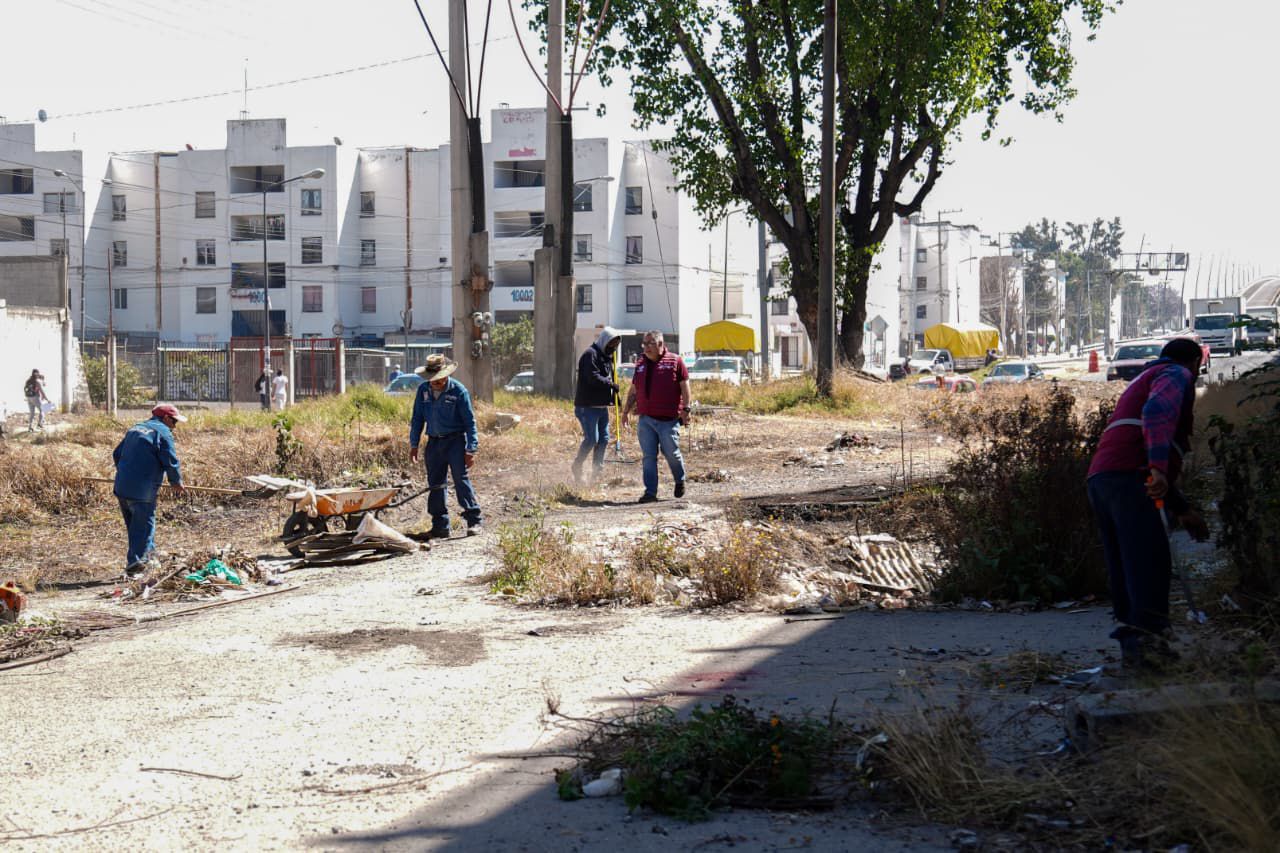 Verde en marcha: Puebla limpia, poda y recupera espacios públicos
