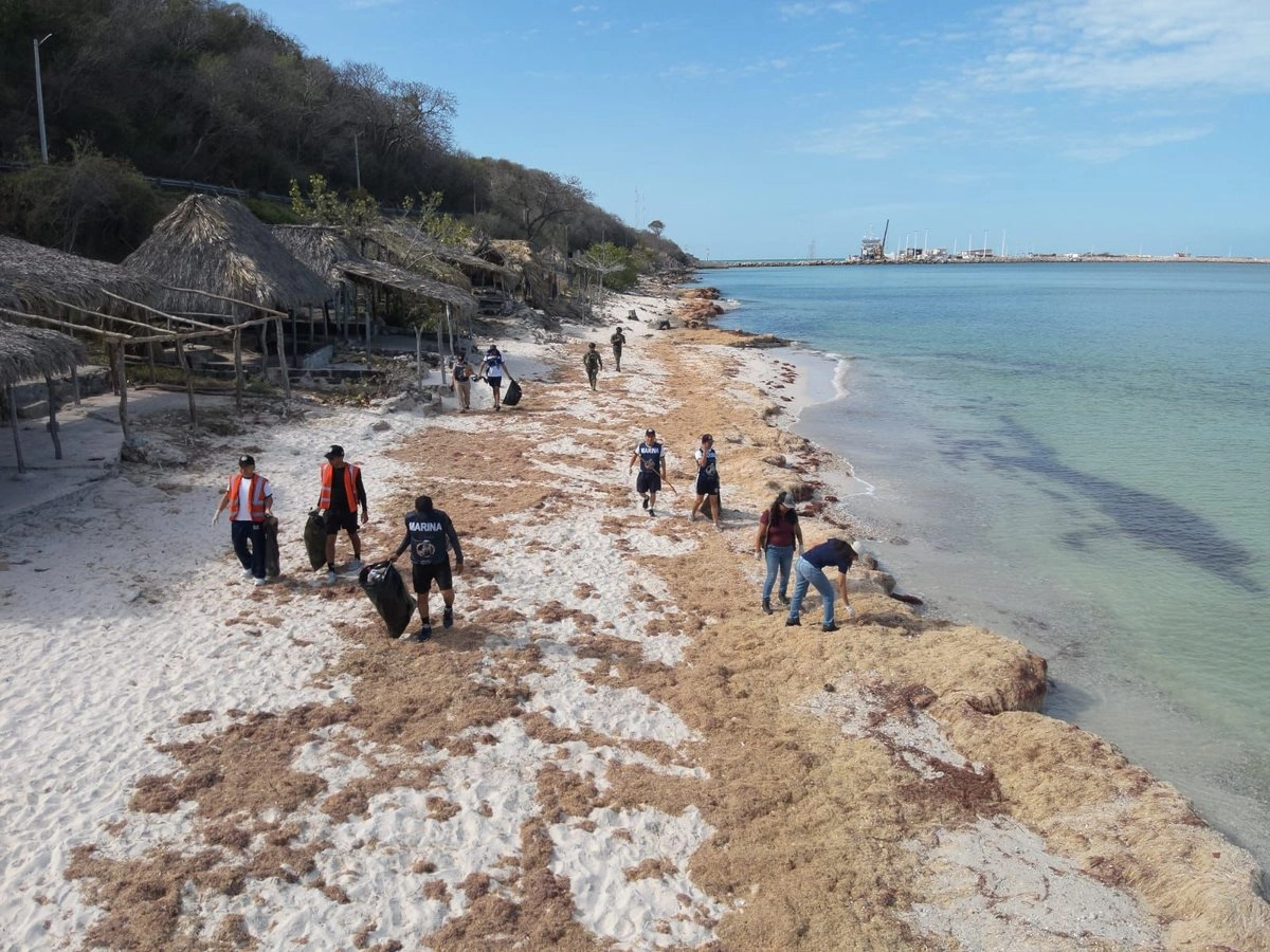 Derrame en el Golfo: despliegan fuerza nacional y avanzan labores de limpieza