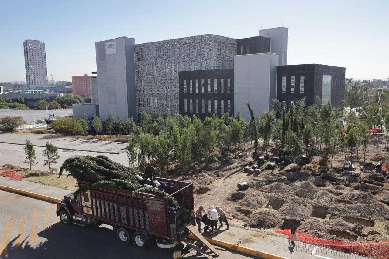 Arranca reforestación en CIS y Parque Ecológico; plantan primeros mil de 10 mil árboles