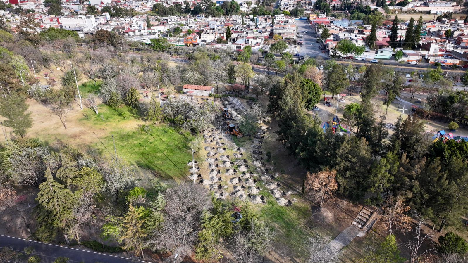 Diez mil árboles para la metrópoli: bosque urbano apunta a capturar hasta 250 toneladas de CO₂ al año