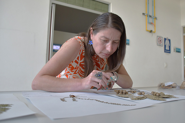 De los laboratorios al liderazgo nacional: investigadora BUAP encabeza la botánica en México