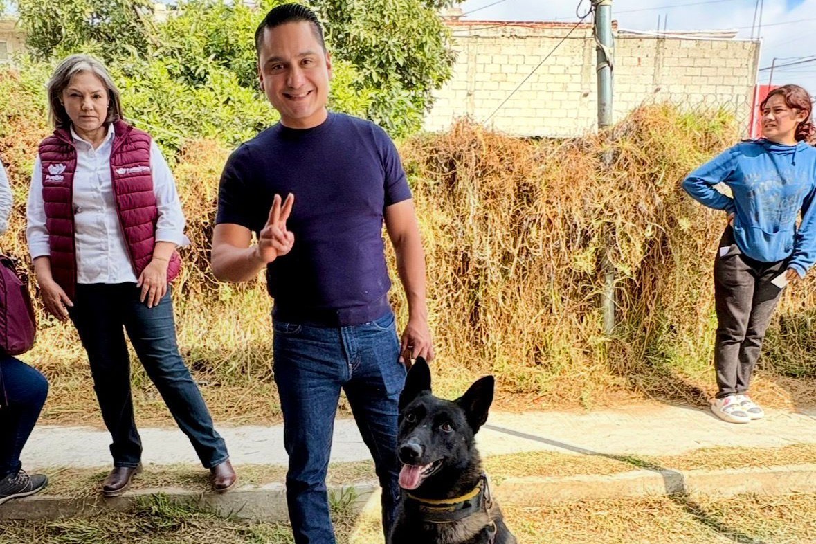 Vacunas, esterilizaciones y consultas: Puebla lleva jornadas animales a las colonias