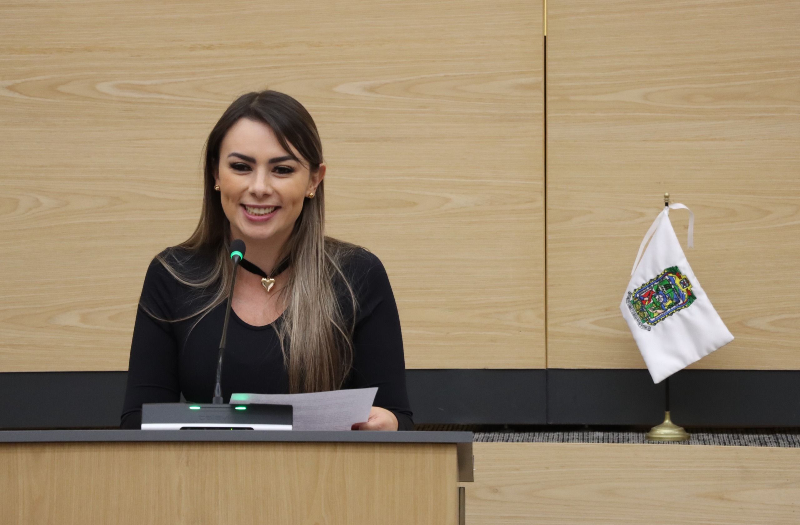 Impulsa diputada María de la Barreda iniciativa contra la conducción riesgosa 
