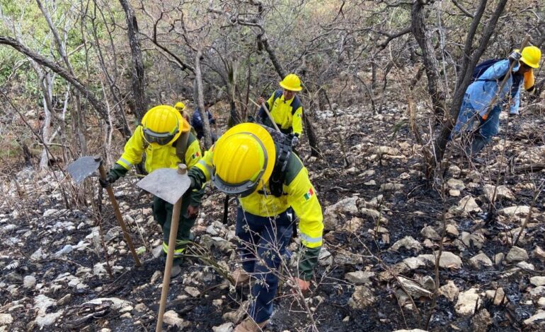 Sofocan incendio forestal en Cohetzala tras operativo aéreo y terrestre