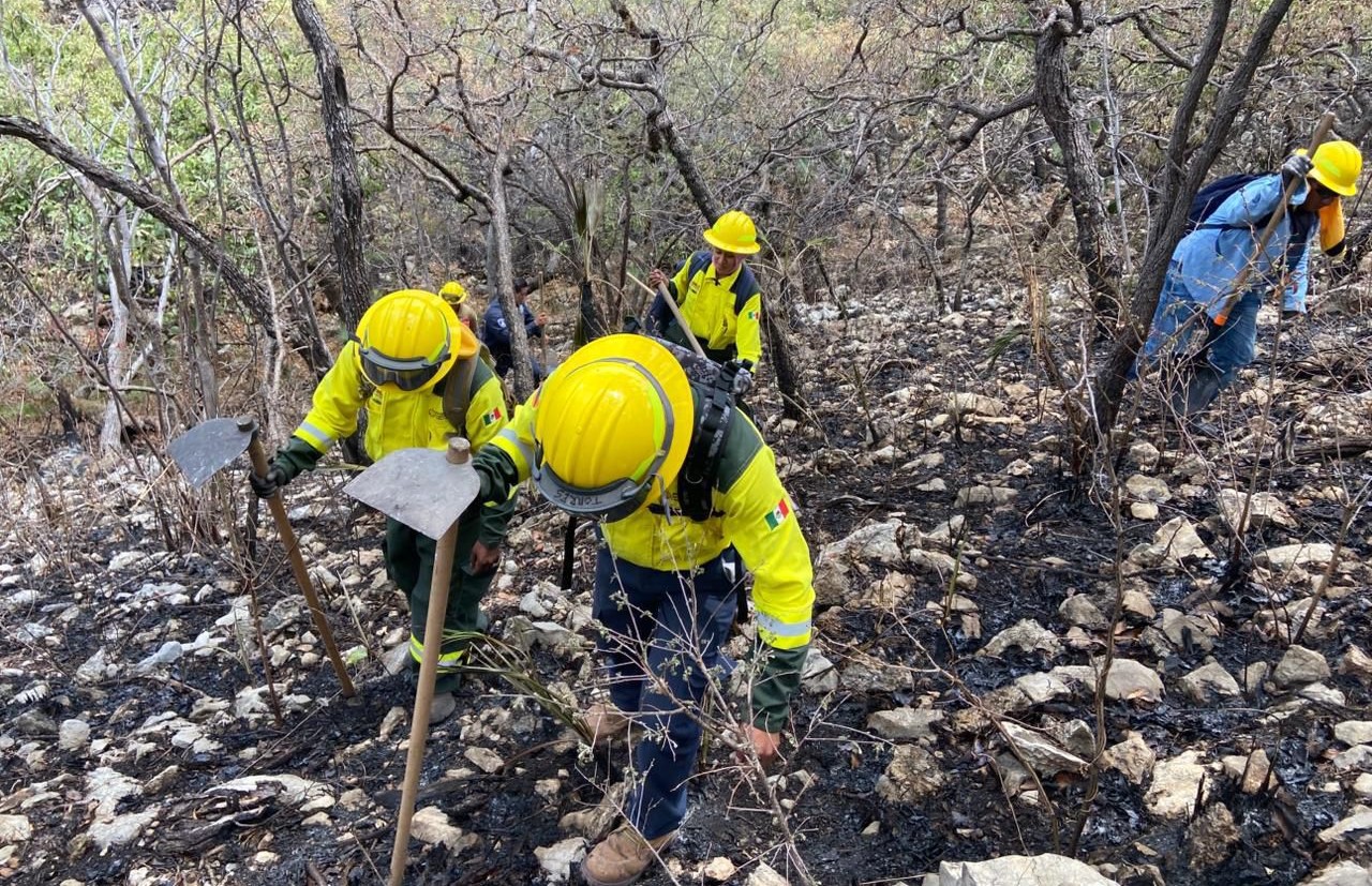 Sofocan incendio forestal en Cohetzala tras operativo aéreo y terrestre