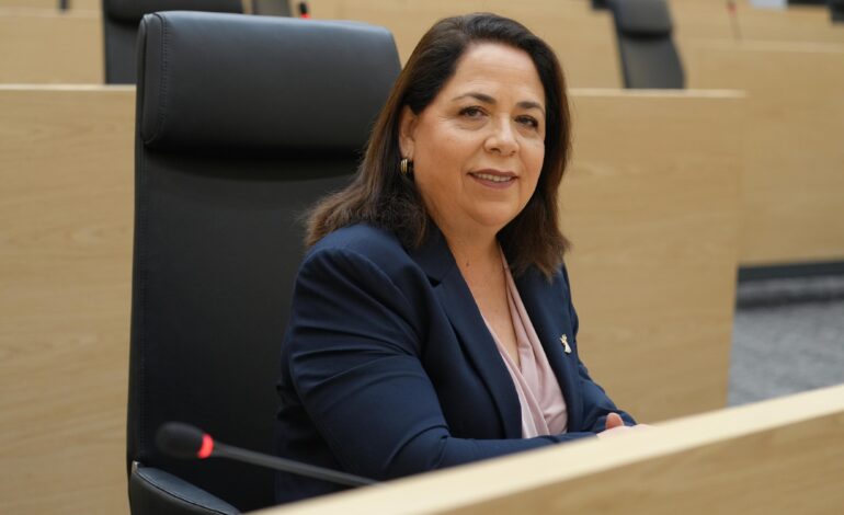 Turismo con cabeza y calles inteligentes: Amieva empuja ley y alumbrado moderno
