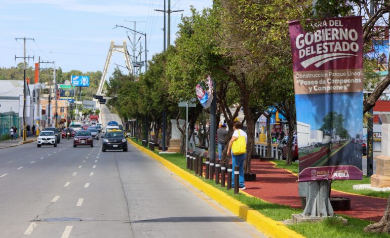 Con maquinaria propia, Gobierno de Puebla proyecta rehabilitar 420 kilómetros de vialidades en 2026