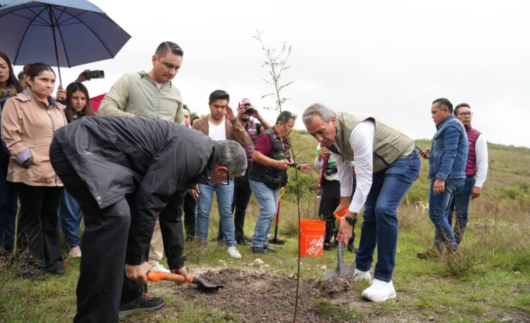 Pepe Chedraui y BUAP impulsan reforestación masiva con más de 10 mil árboles en Ecocampus
