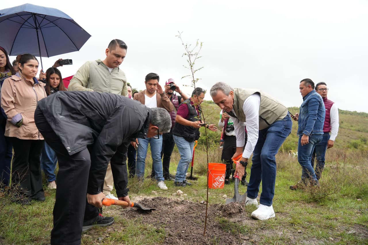 Pepe Chedraui y BUAP impulsan reforestación masiva con más de 10 mil árboles en Ecocampus