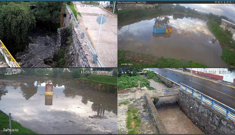 Lluvia tira árboles en Puebla, pero ríos se mantienen bajo control