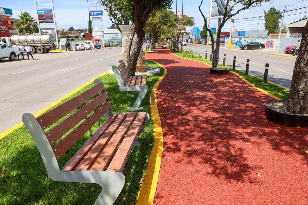 Puebla rinde homenaje a sus leyendas deportivas con el Paseo de Campeonas y Campeones