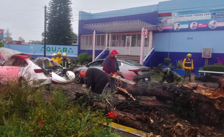 Lluvia deja un fallecido e inundaciones de hasta 70 centímetros en Puebla (video)
