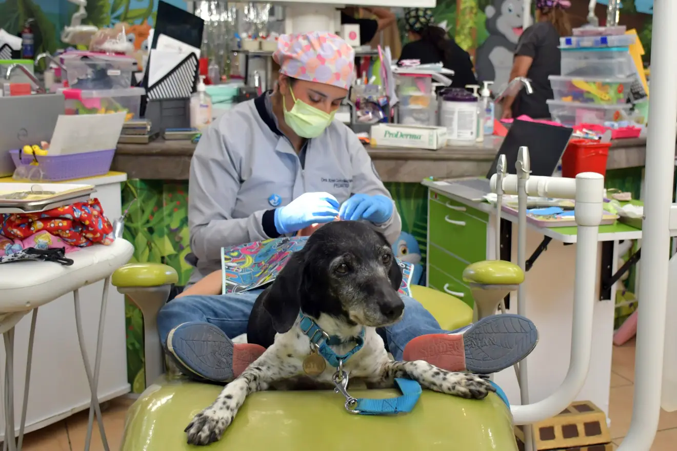 BUAP ofrece atención dental especializada para niñas, niños y adolescentes
