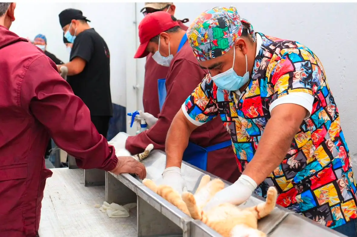 Gobierno de la Ciudad suma 120 mil vacunas y 18 mil esterilizaciones para animales de compañía