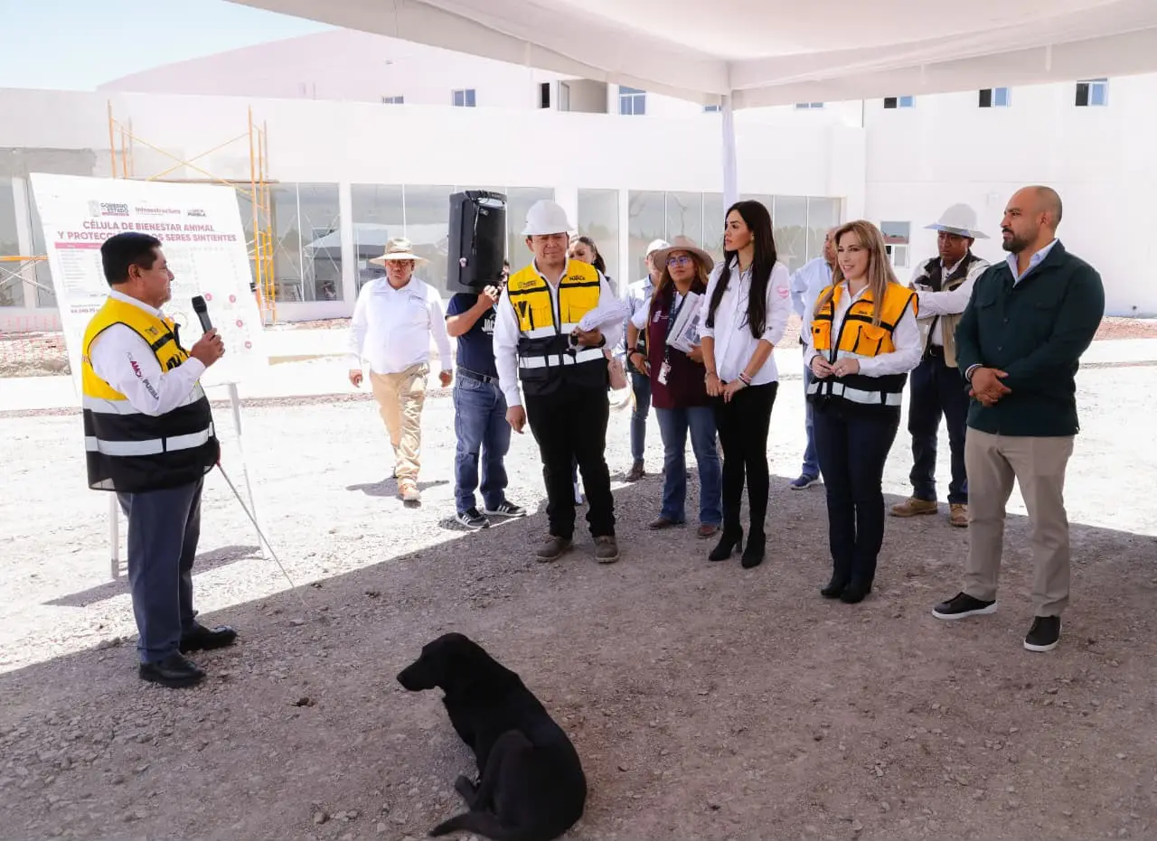 Puebla construye complejo de 290 millones para rescate y atención animal
