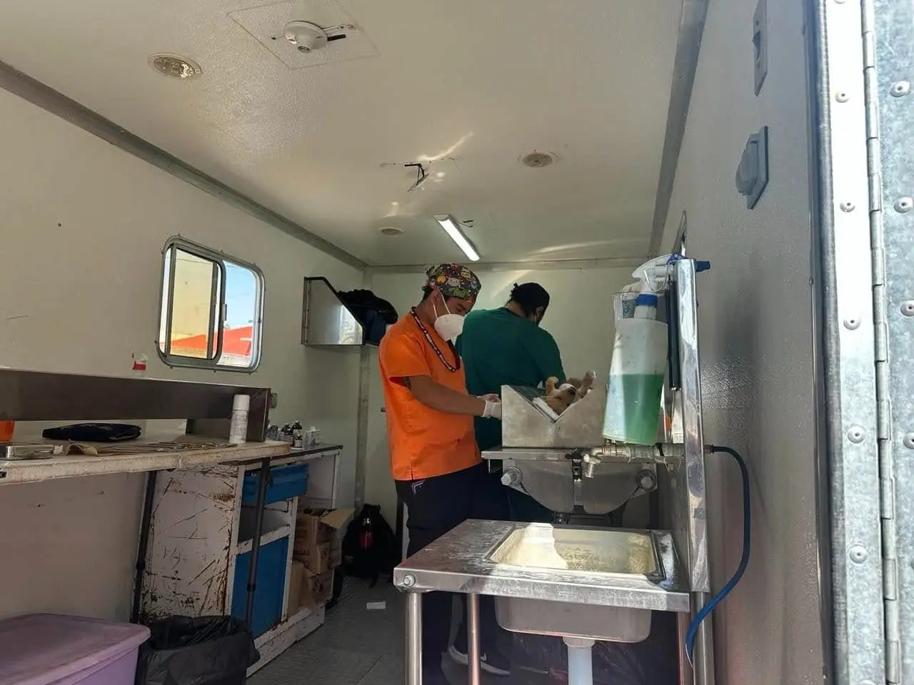 Puebla supera las 18 mil esterilizaciones gratuitas de perros y gatos