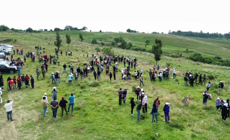 Large group of people standing and walking across a grassy field near parked cars on the left.