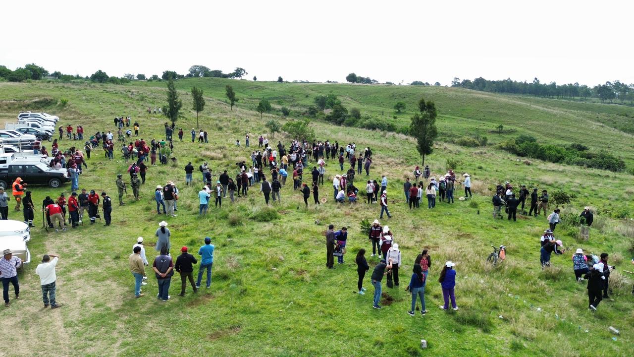 Van por rescate verde del Cerro Zapotecas; siembran 500 árboles en primera jornada de reforestación